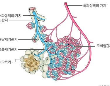 p41_1.jpg