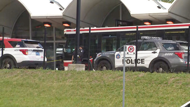 3ttc.jpg