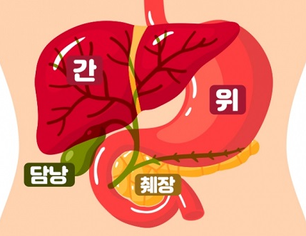 췌장.jpg